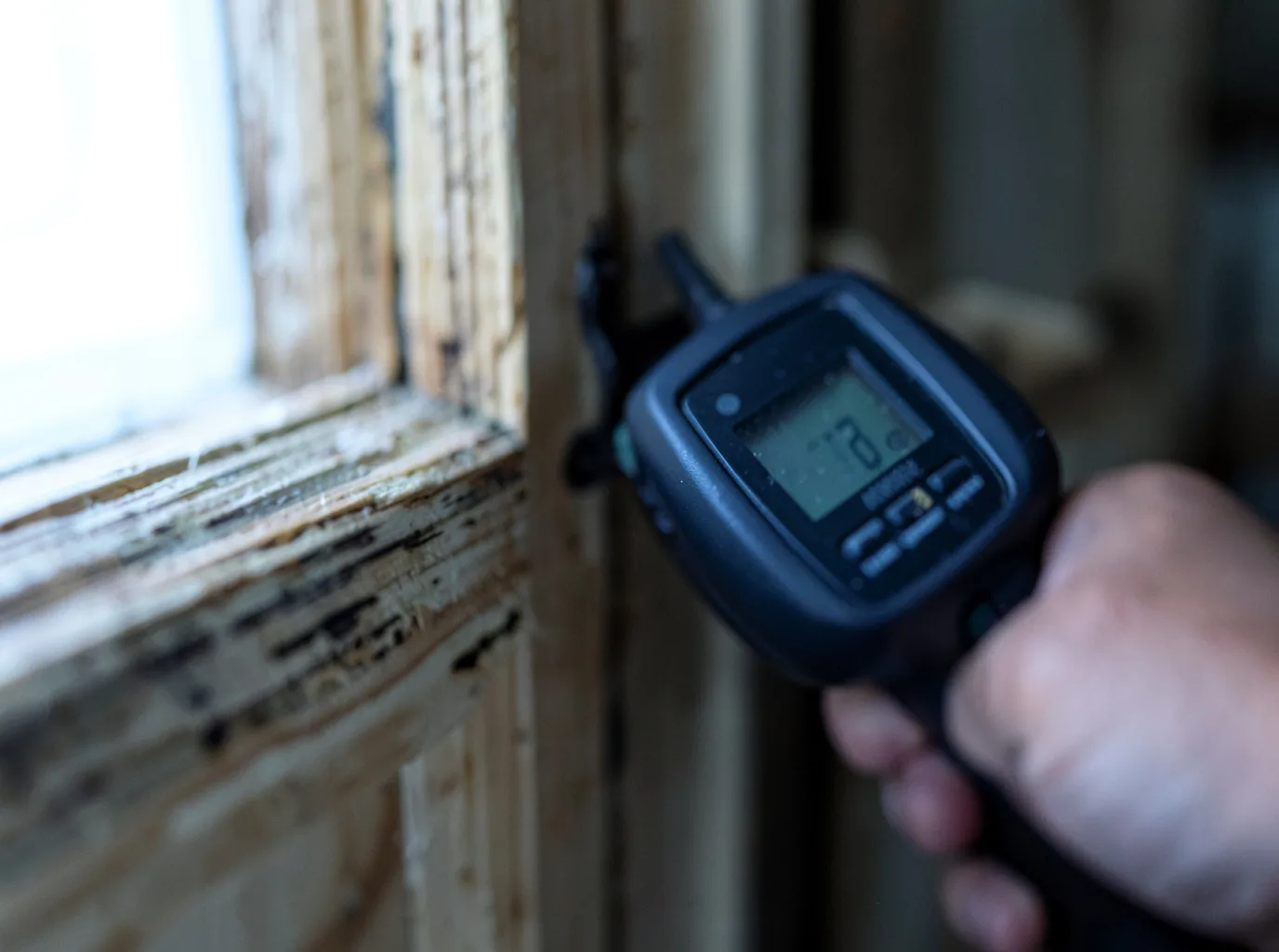 Commercial Water Damage Restoration in Monroe, MI